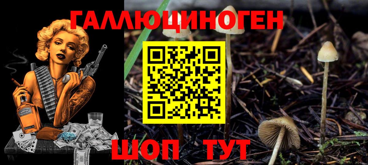 Псилоцибиновые грибы GOLDEN TEACHER Нарткала