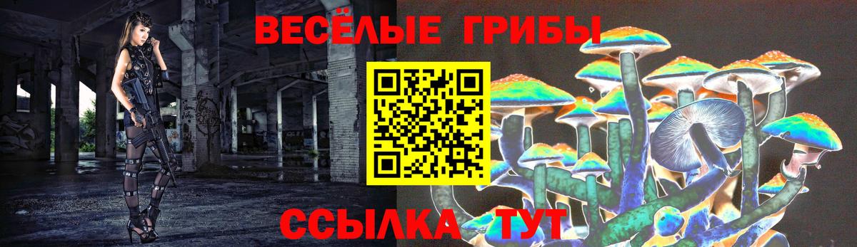 Галлюциногенные грибы прущие грибы  Вход с VPN  закладка  Нарткала 